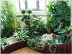 Четыре правила композиции из комнатных растений