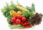 Овощи должны входить в ежедневный рацион питания