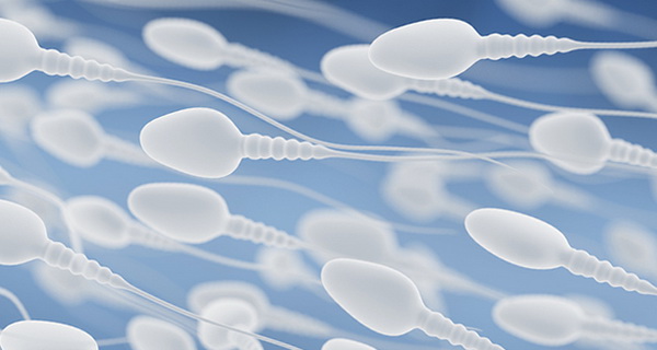 На качество мужской спермы влияют антидепрессанты